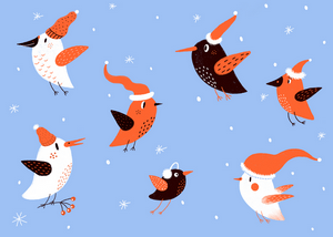 Bird Christmas Card